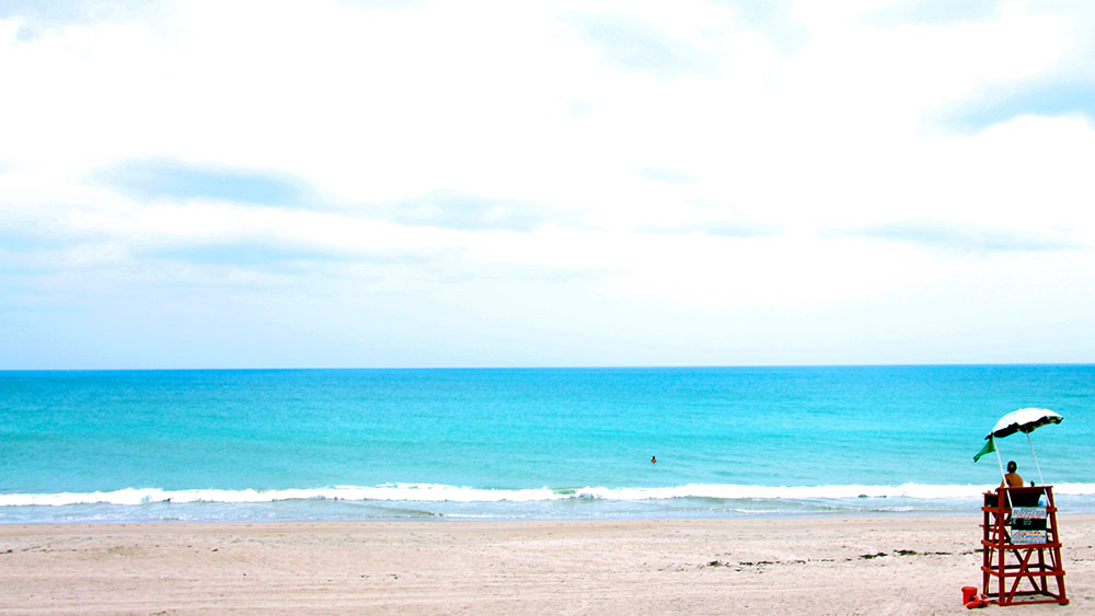 Beach Lifeguard Desktop Wallpaper